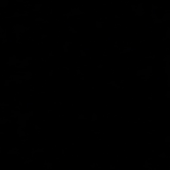 Meet your Posher, Isabel - Picture 1 of 1